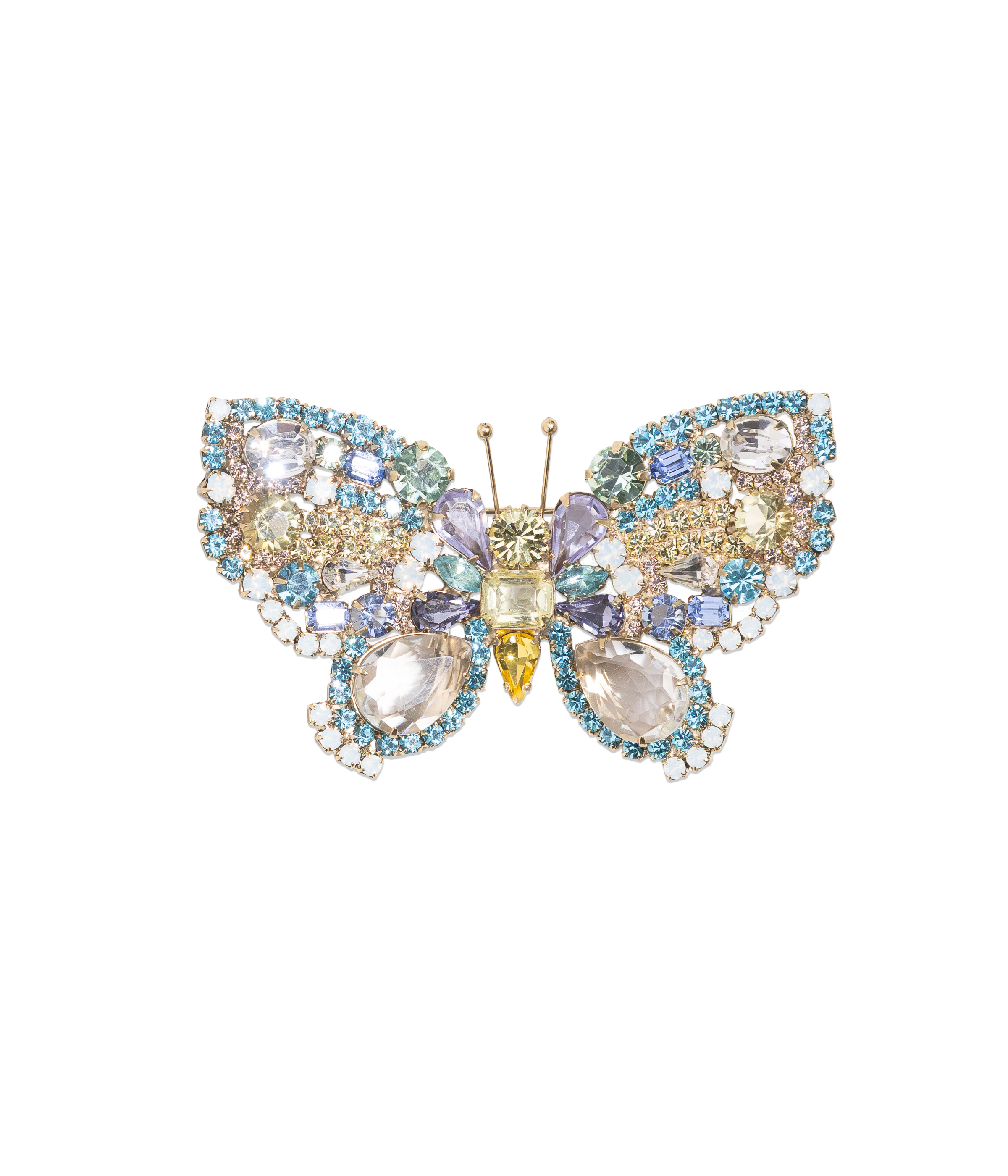 Large Butterfly in Aqua / Jonquil / Violet