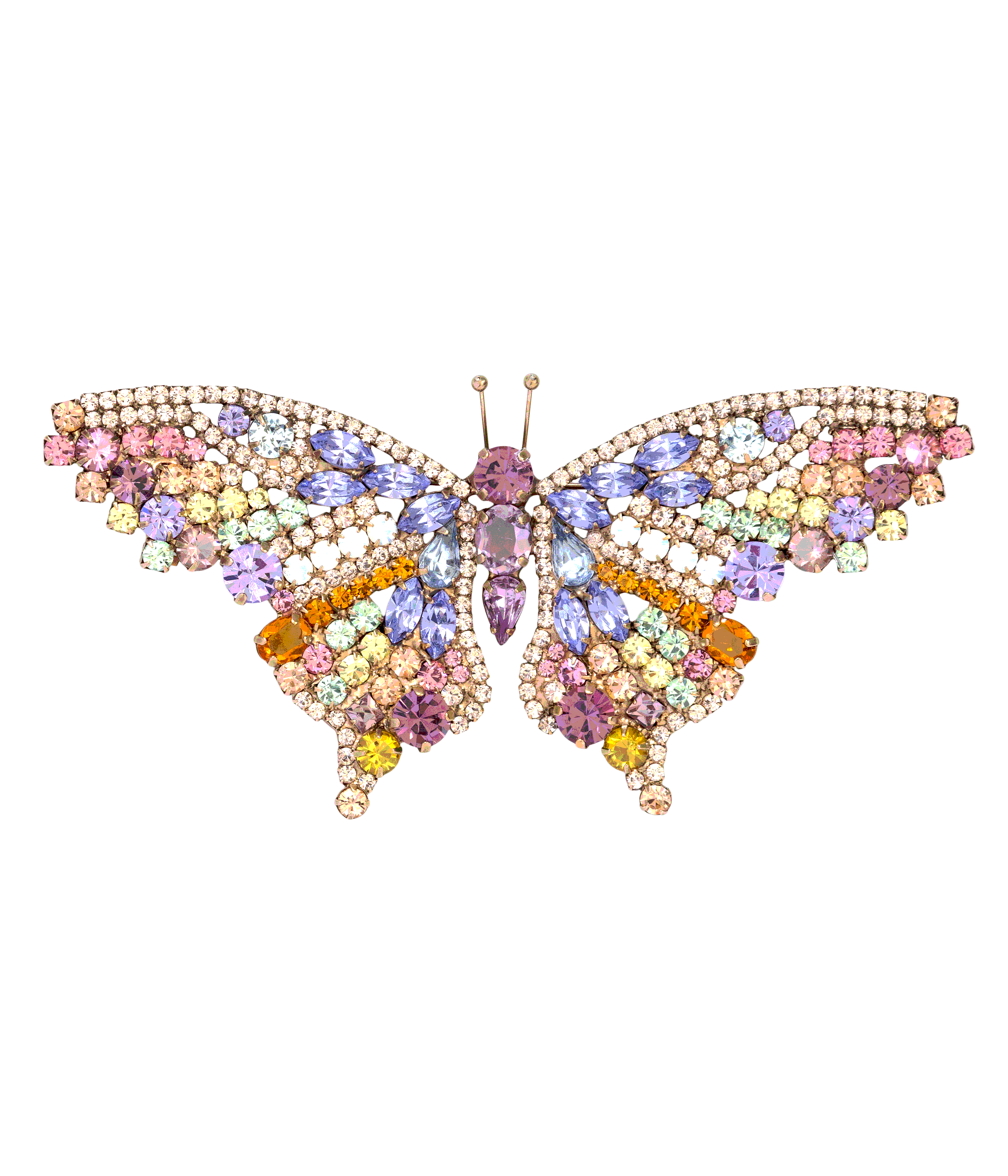 X-Large Butterfly in Rainbow