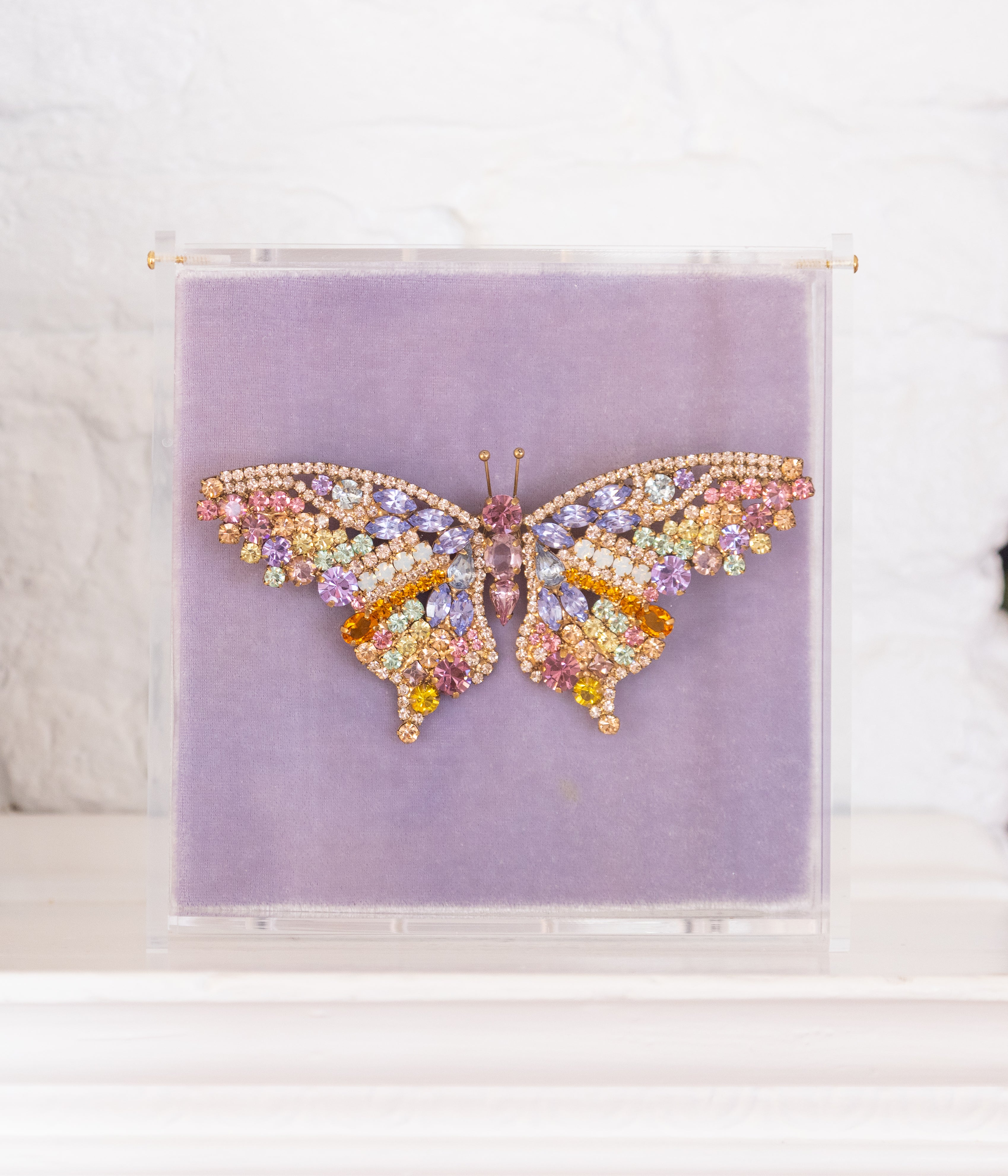 X-Large Butterfly in Rainbow