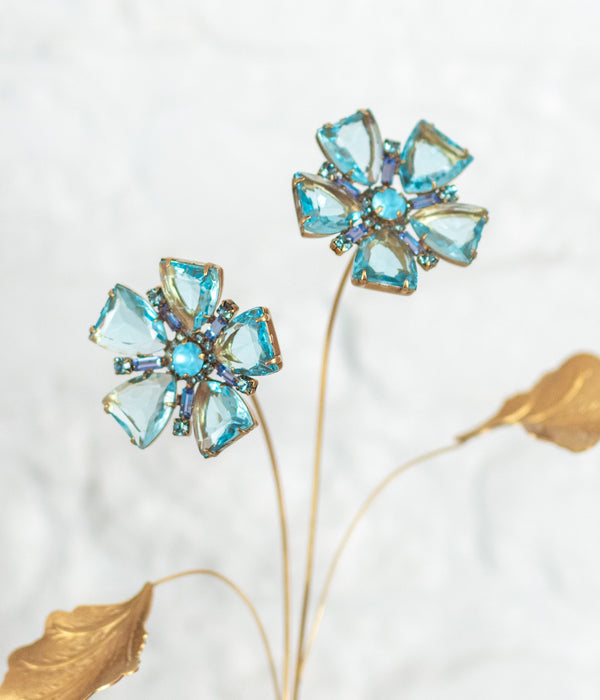 Blue Flax Flower Specimen