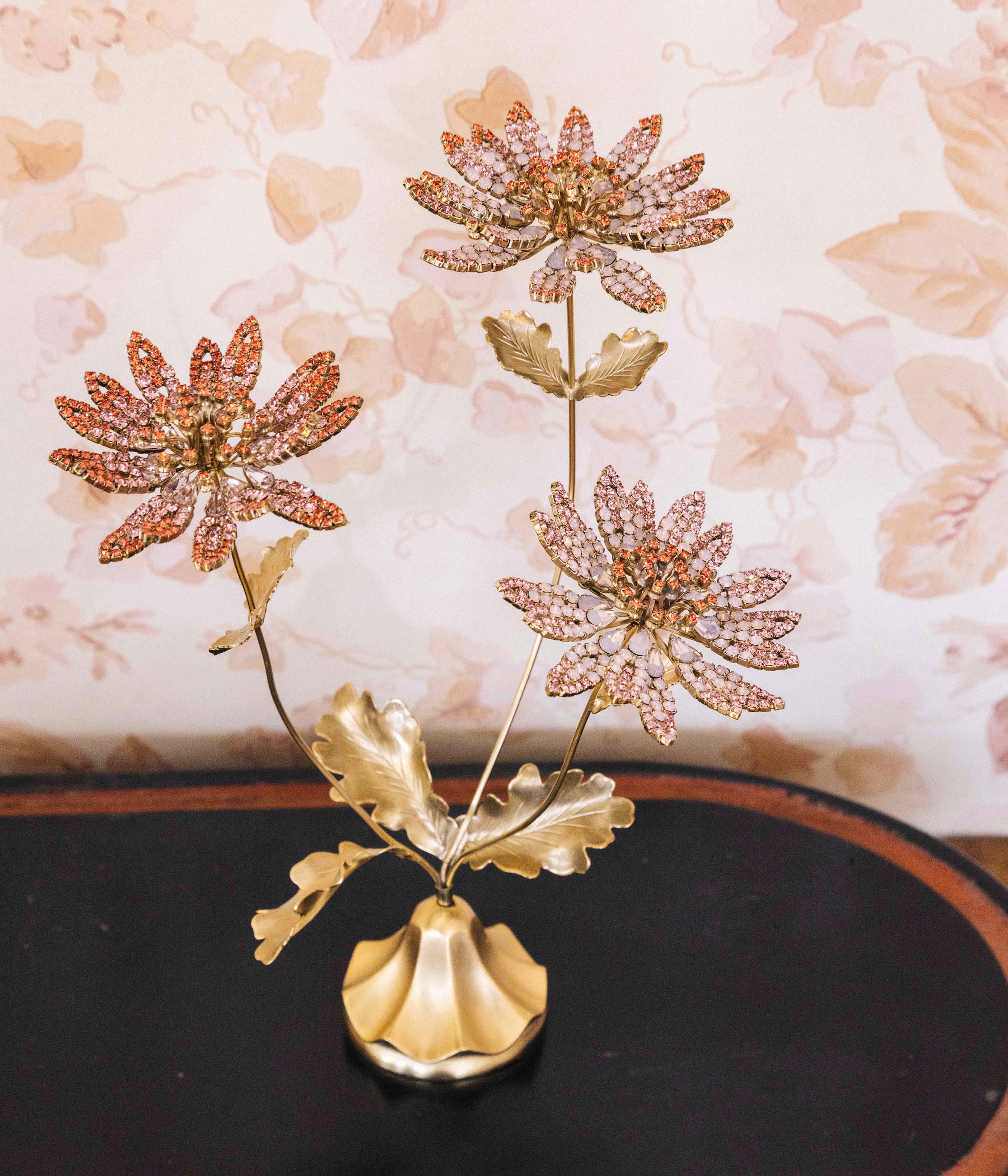 Astrantia Flower Specimen