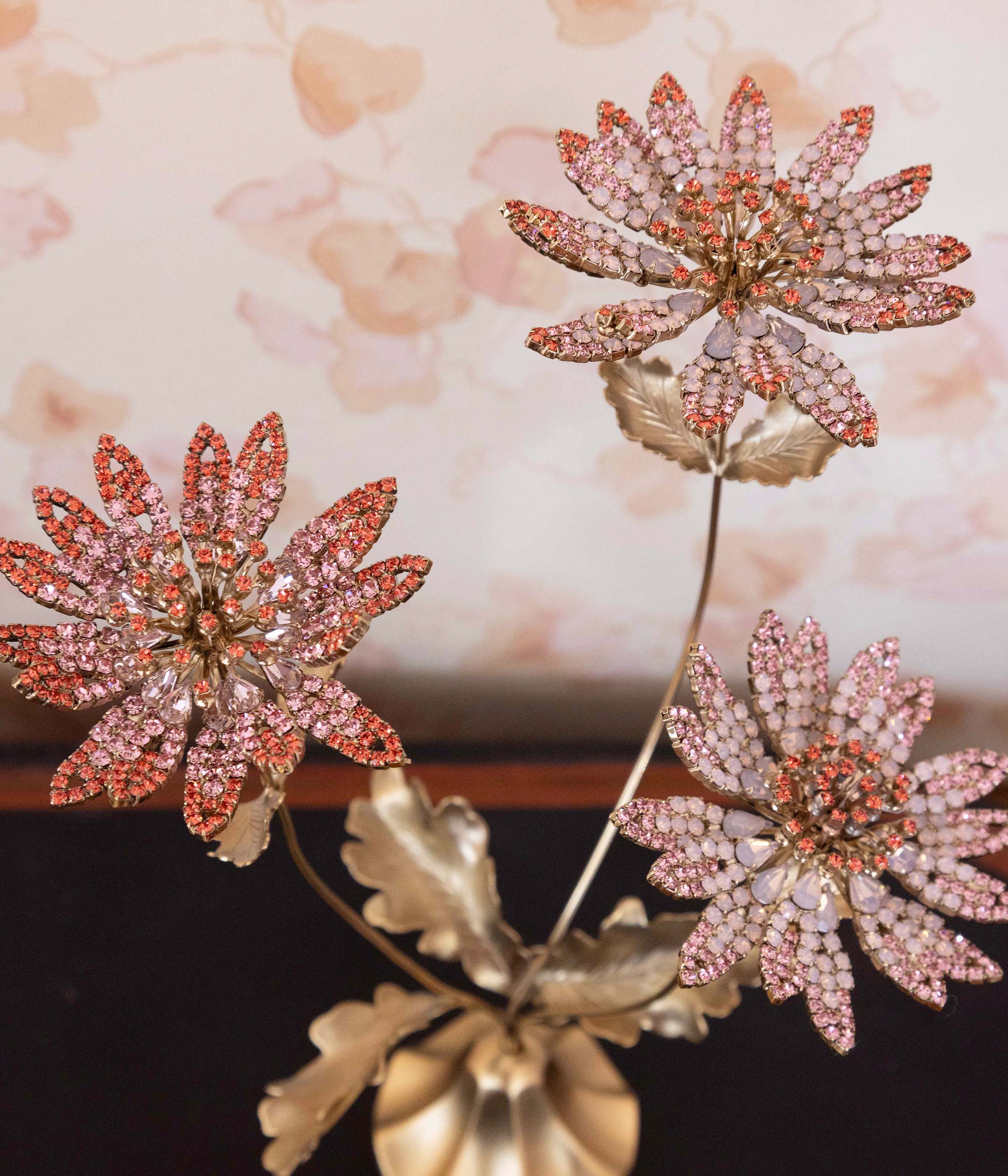 Astrantia Flower Specimen