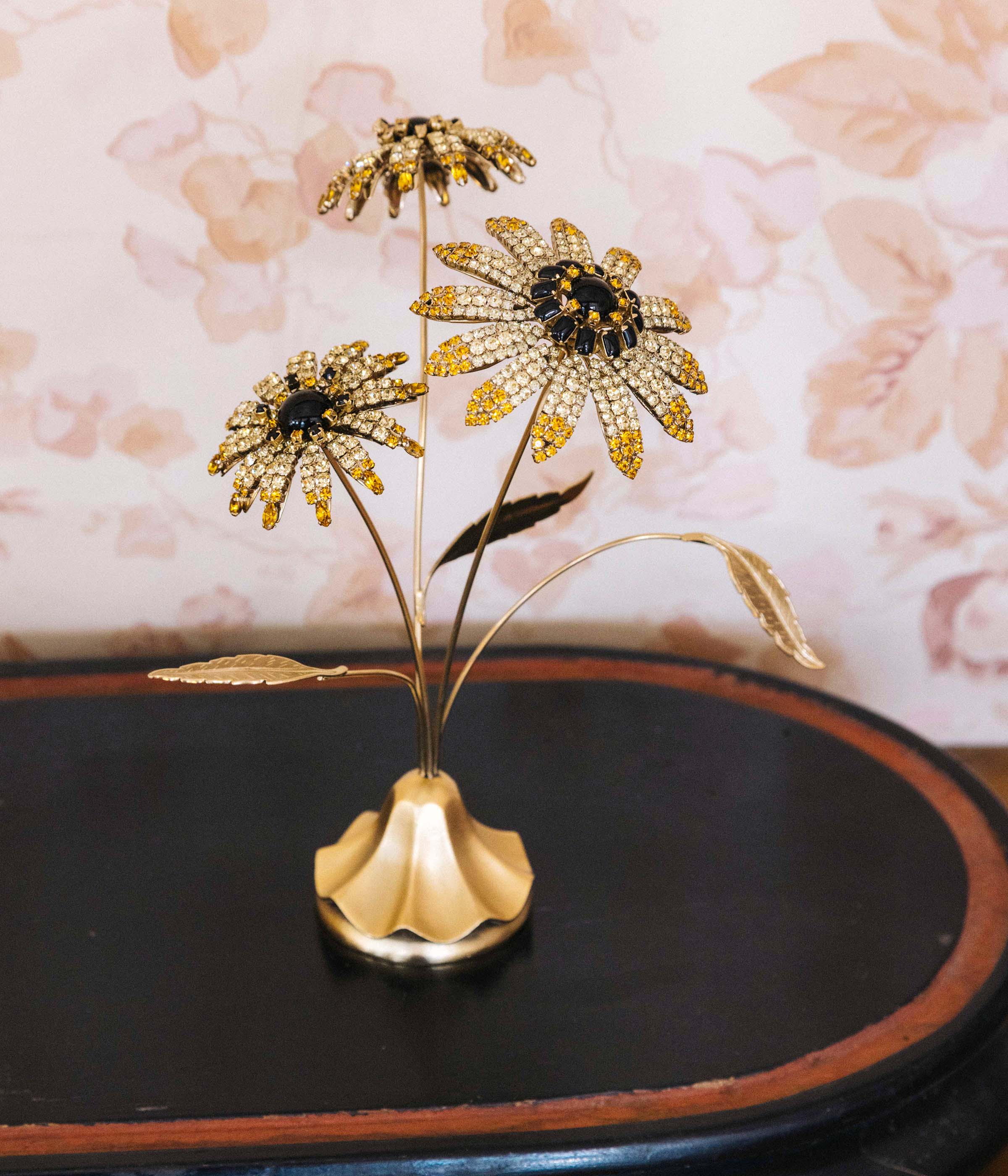 Black-Eyed Susan Flower Specimen