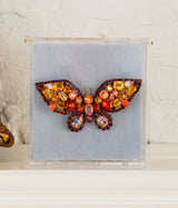 X-Large Butterfly in Amethyst / Topaz / Apricot