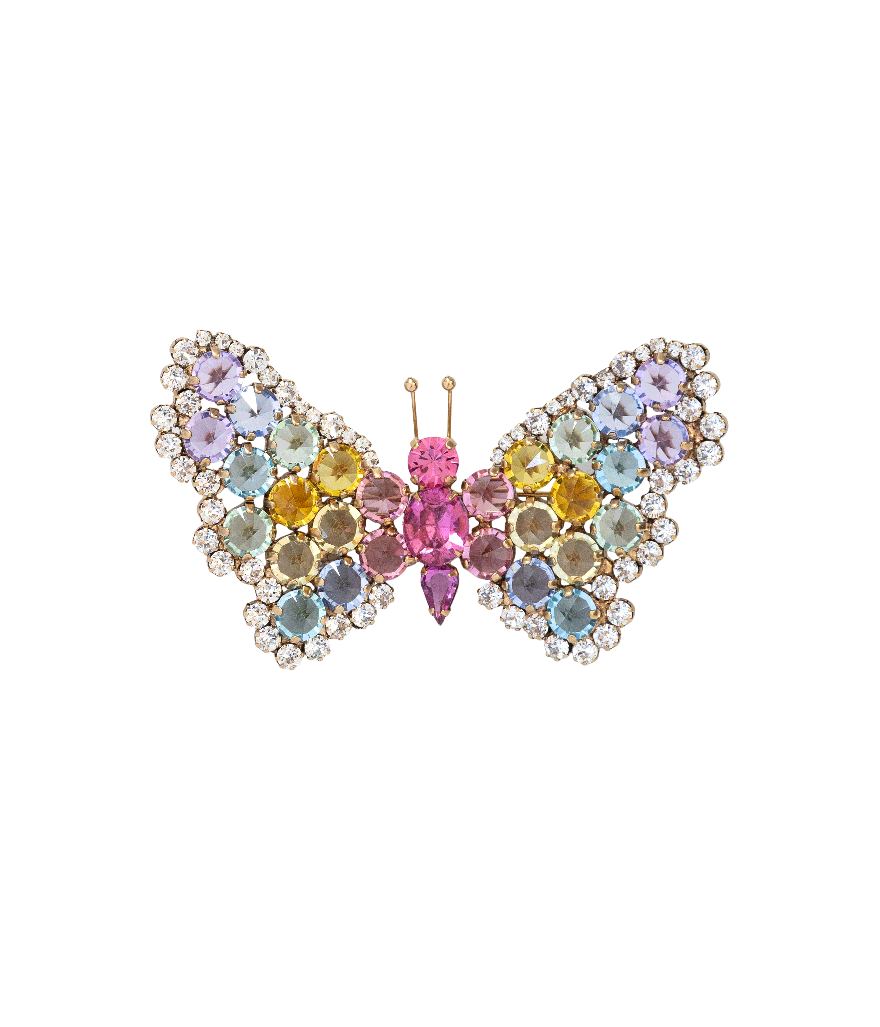 Large Butterfly in Rainbow