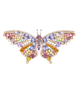 X-Large Butterfly in Rainbow