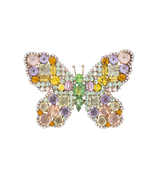 X-Large Butterfly in Multi