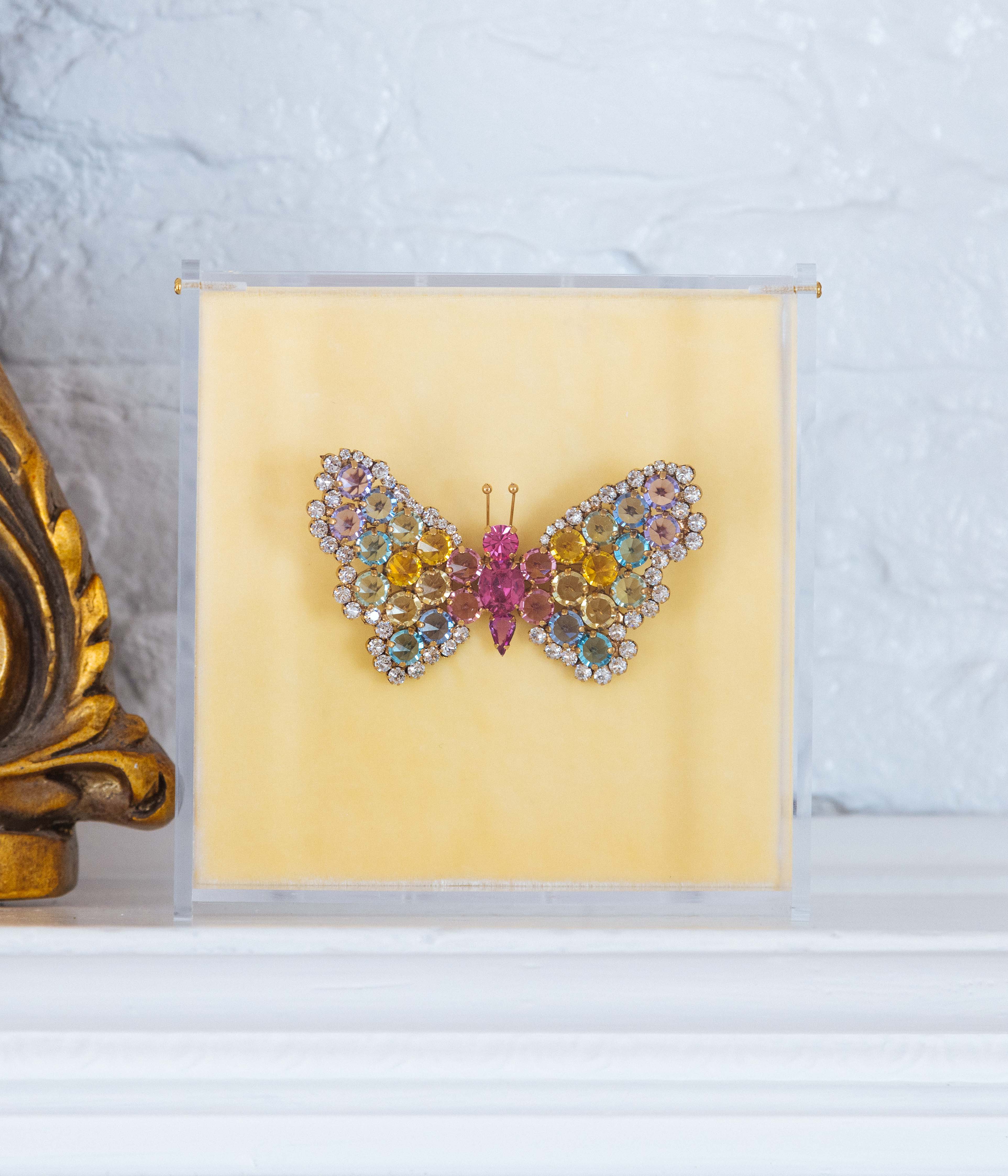 Large Butterfly in Rainbow
