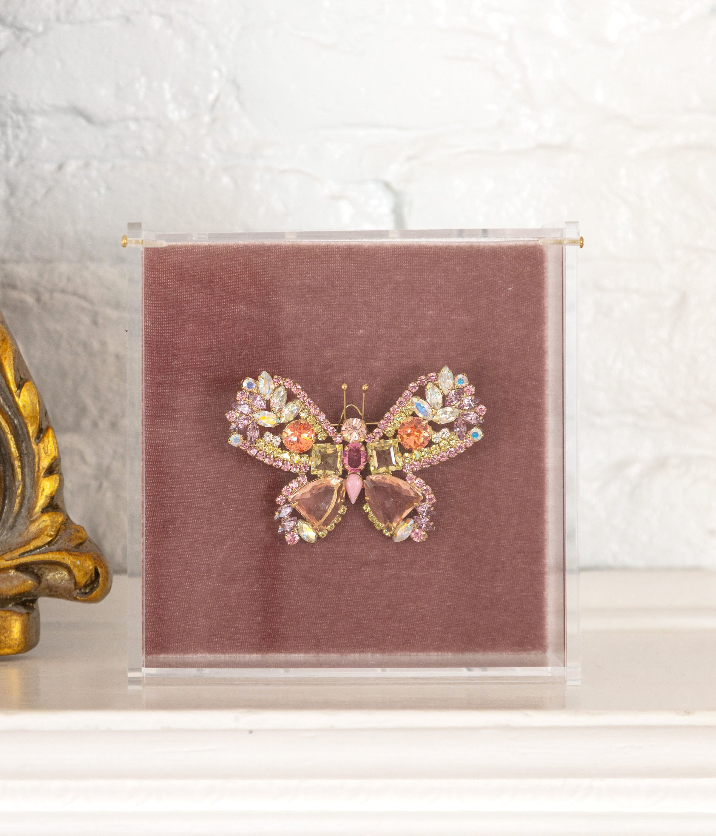 Large Butterfly in Jonquil / Rose / Paparadscha