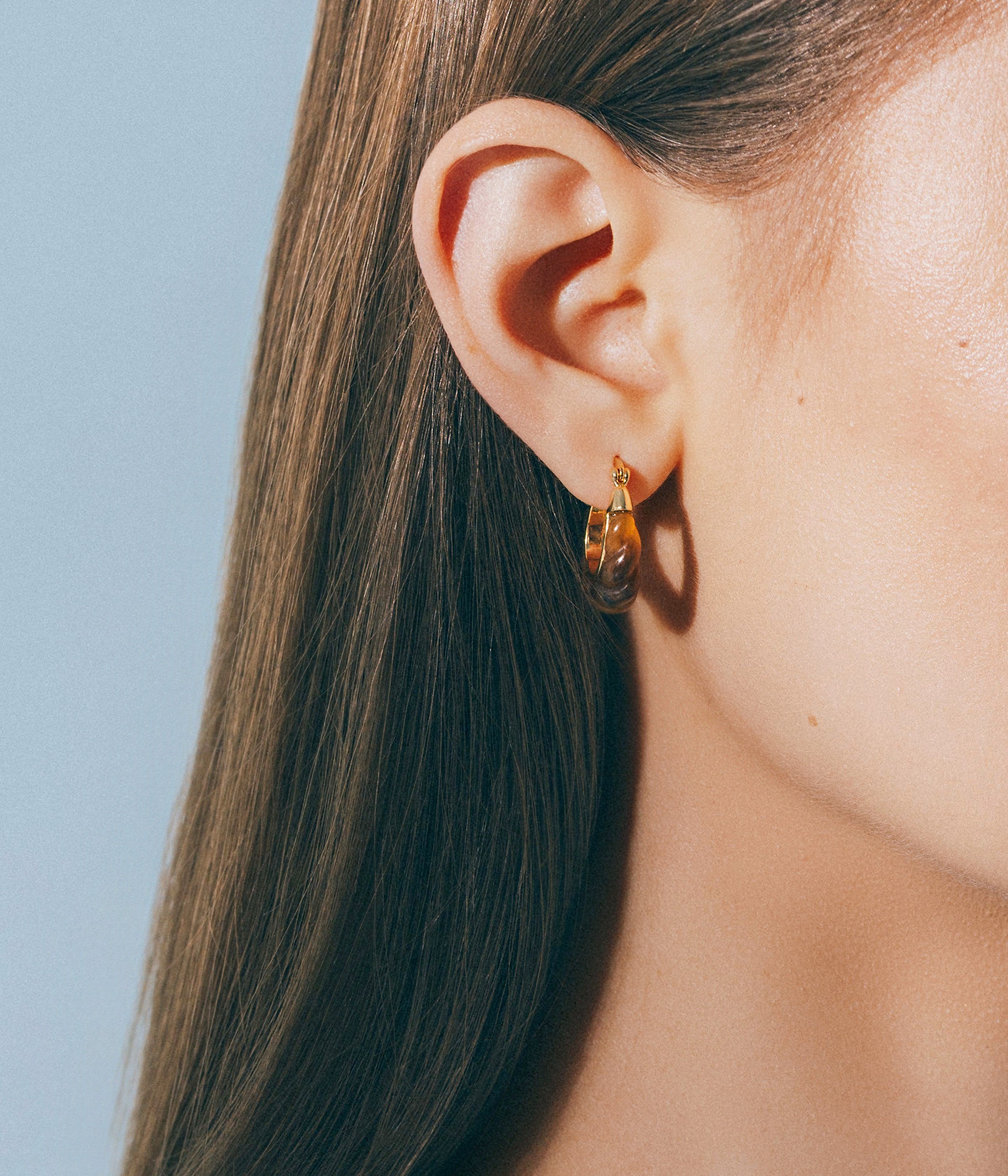 Alani Hoop Earrings in Tortoise - Loren Hope