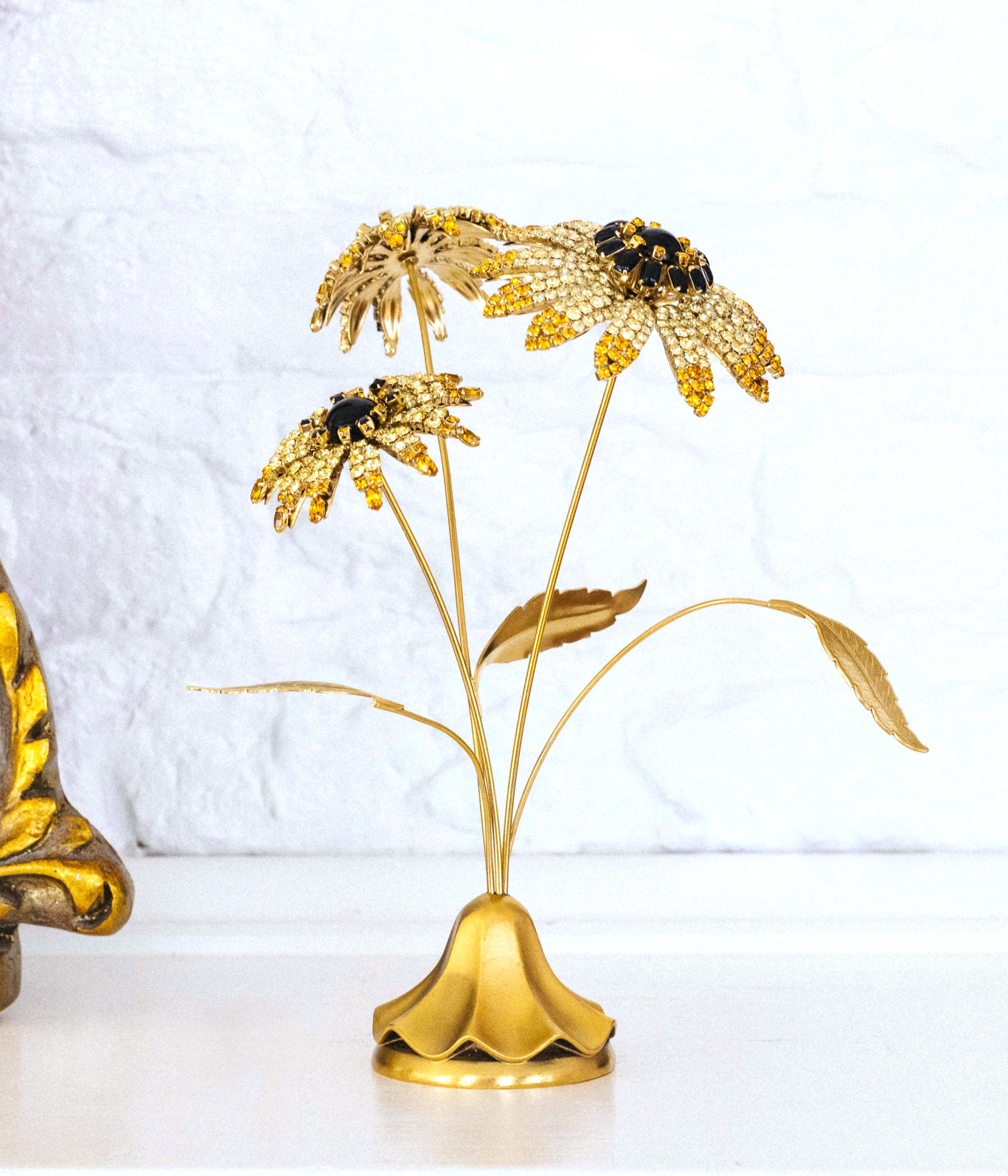 Black-Eyed Susan Flower Specimen