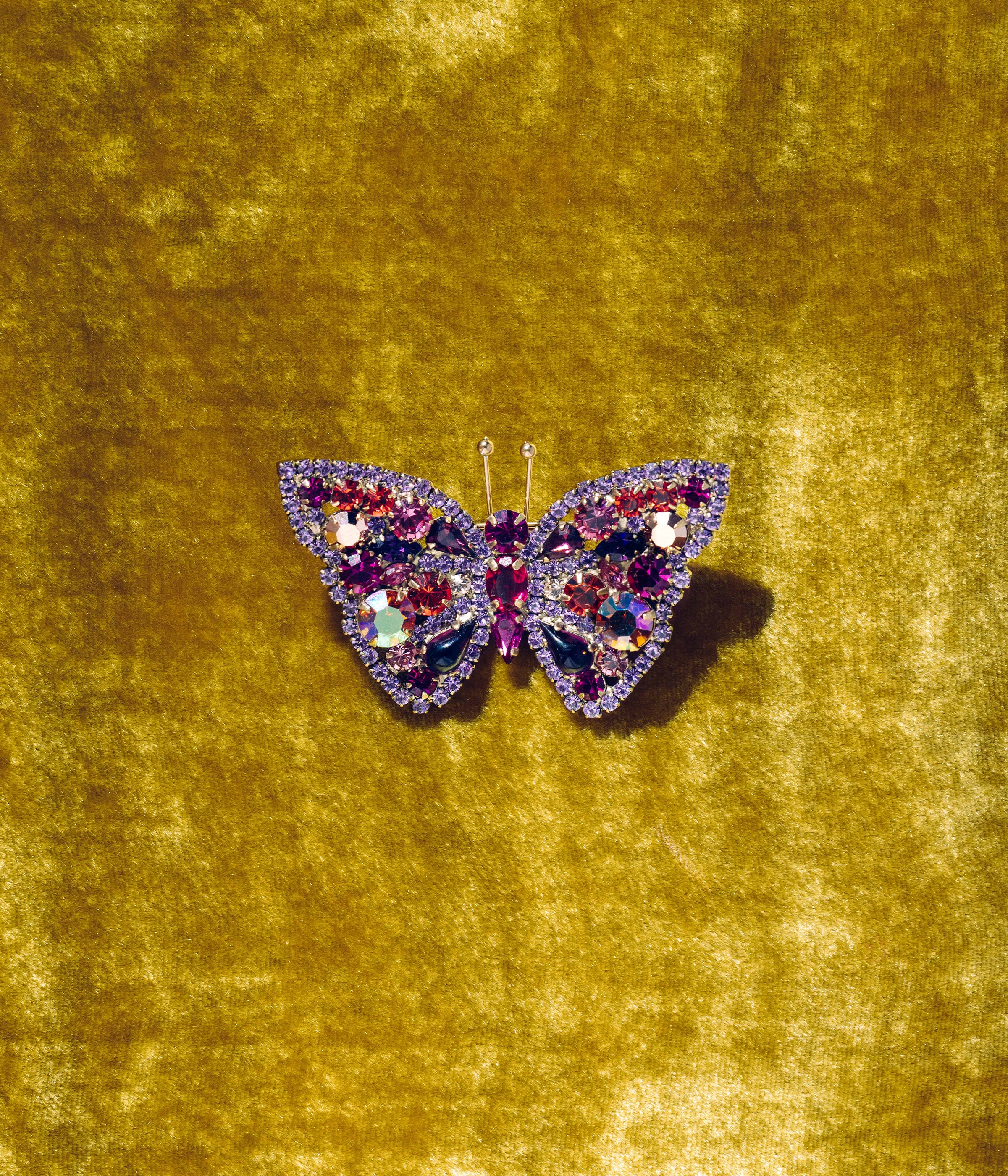 Butterfly in Fuchsia / Violet / Rose - Limited Edition of 25